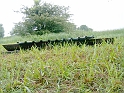 20100604 014